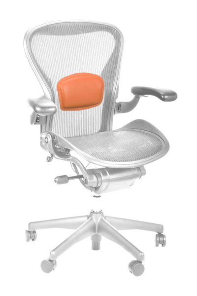 Uccello Saddle Lumbar